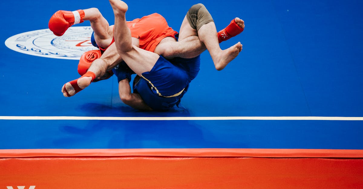 Dlaczego Rico Verhoeven zdobył serca fanów sztuk walki?