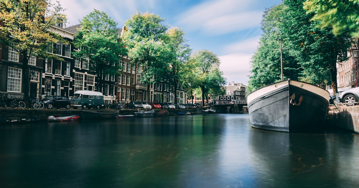 Jakie darmowe atrakcje warto zobaczyć w Amsterdamie?