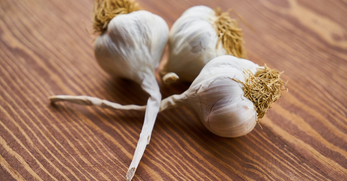 Jakie są zalety i wady jedzenia czosnku w dużych ilościach?