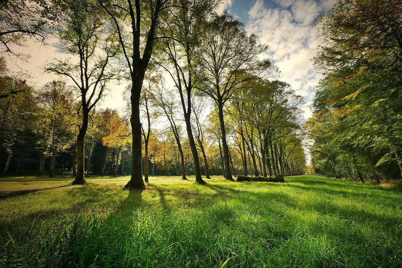 Co to jest Park Narodowy Gór Simien w Etiopii?