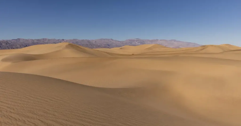 Czy Pustynia Carcross jest najmniejszą pustynią na świecie?