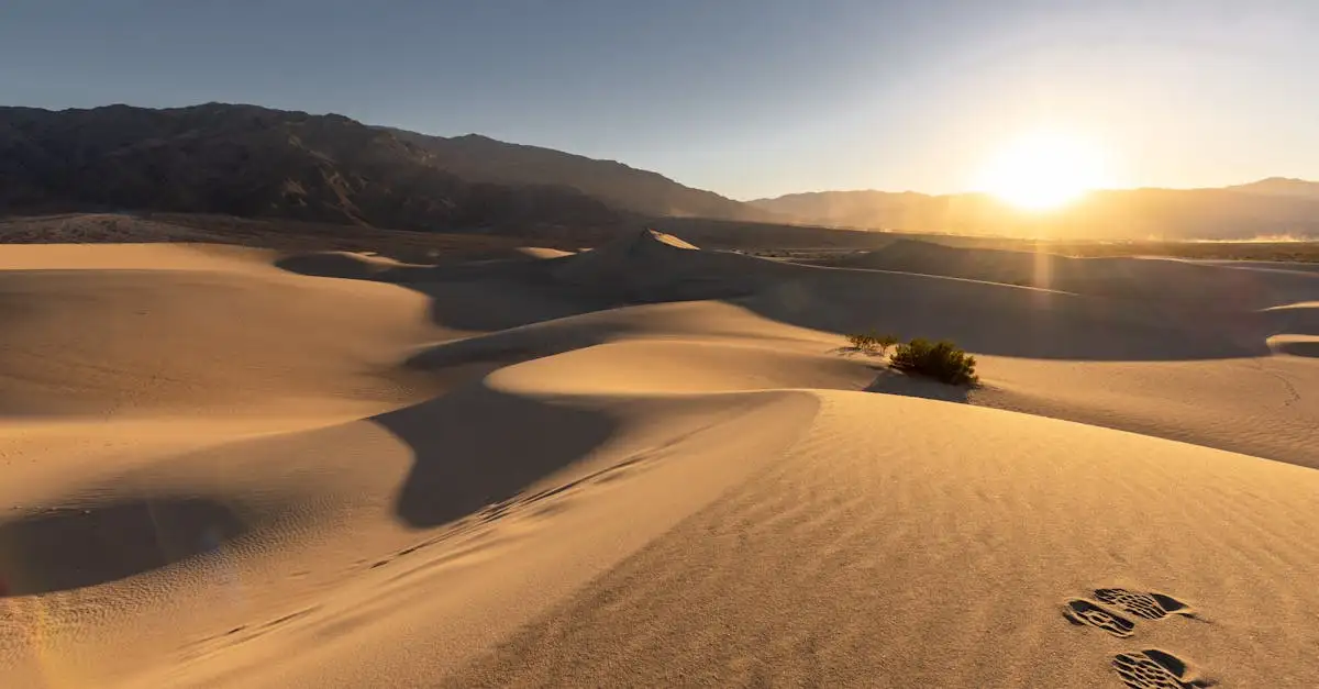 Czy Pustynia Carcross jest najmniejszą pustynią na świecie?