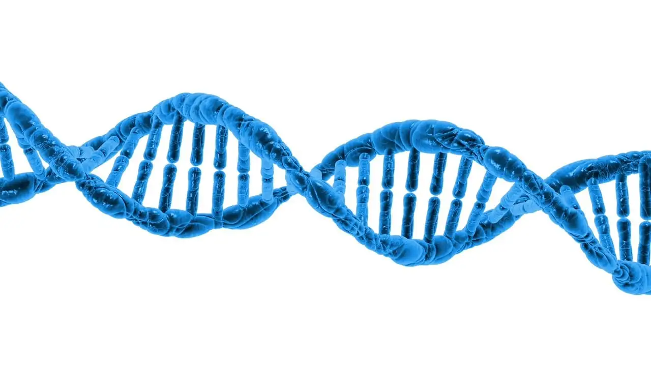 Jak DNA neandertalczyków kształtuje nasze zdrowie?