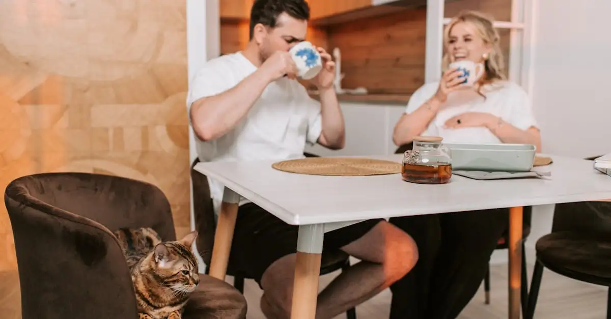 Jak koty rozpoznają swoich właścicieli? Oto odpowiedź!