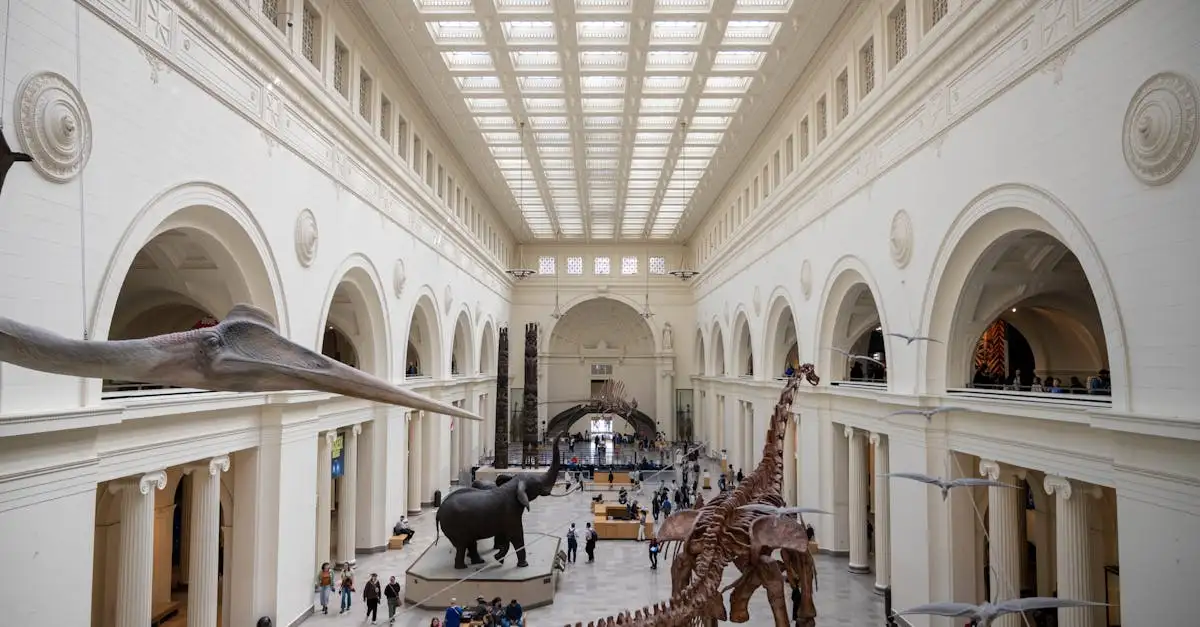 Jakie rozmiary osiągnęły największe dinozaury?