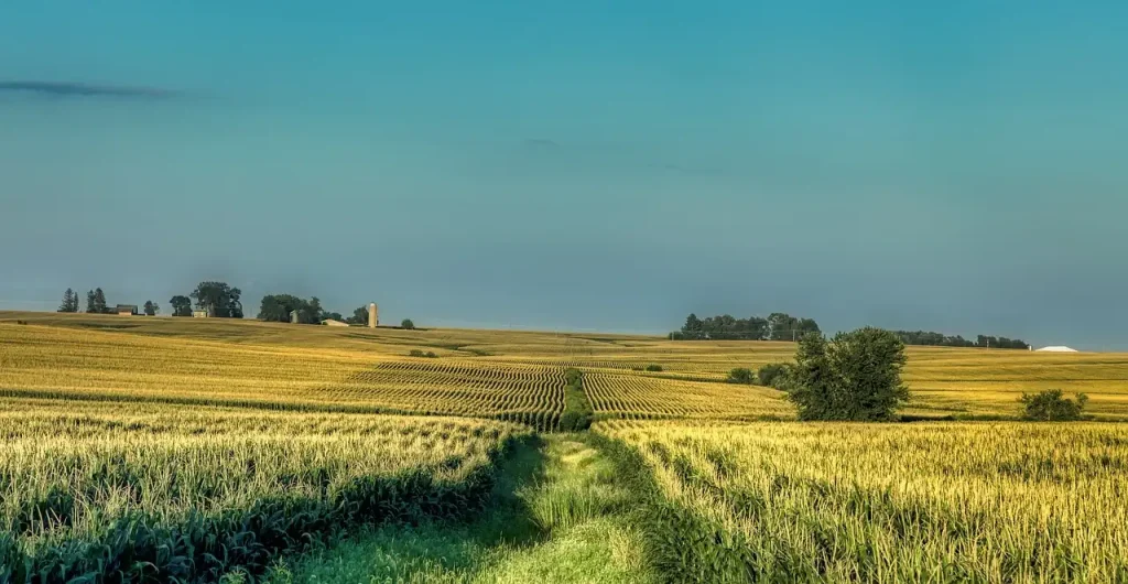 Jakie są trzy najlepsze atrakcje turystyczne w Iowa?