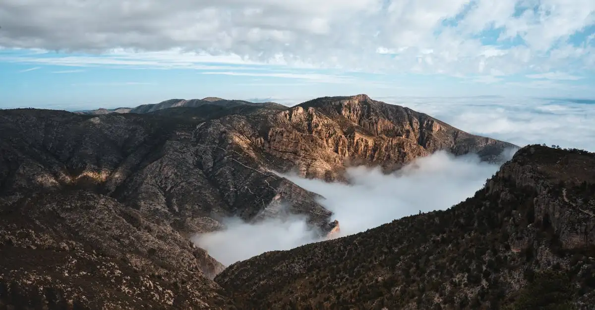 Jakie są trzy topowe atrakcje turystyczne w Teksasie?