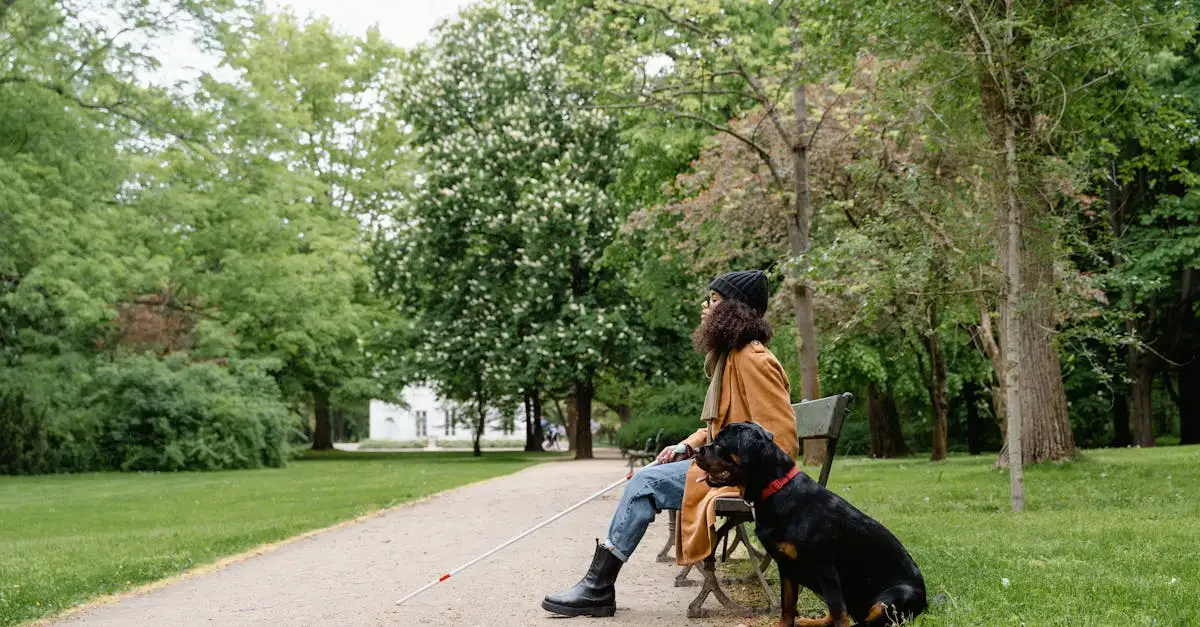 Jak szkolone są psy asystujące dla osób z niepełnosprawnościami?