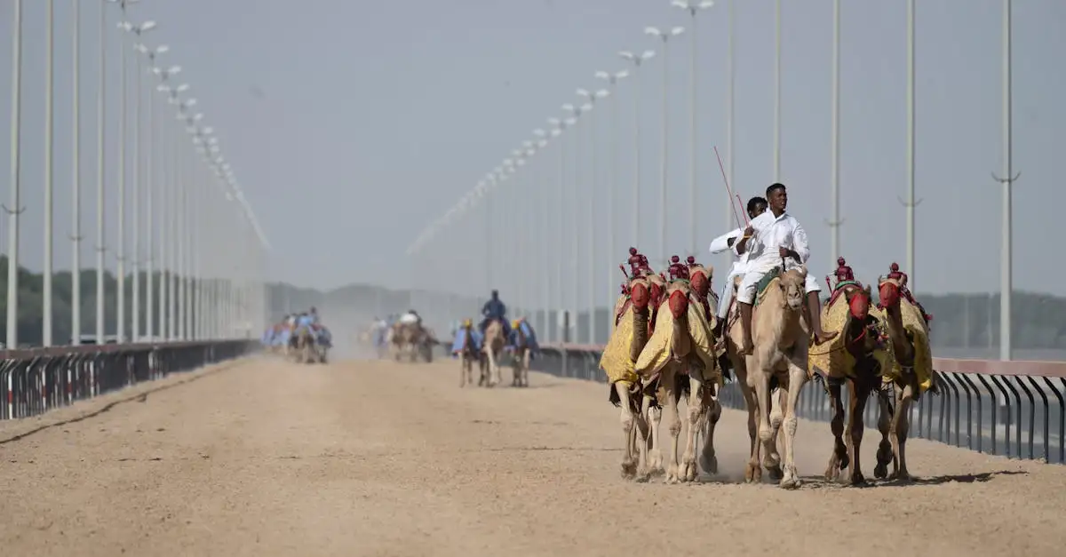 Jakie atrakcje i wydarzenia warto zobaczyć w ZEA?