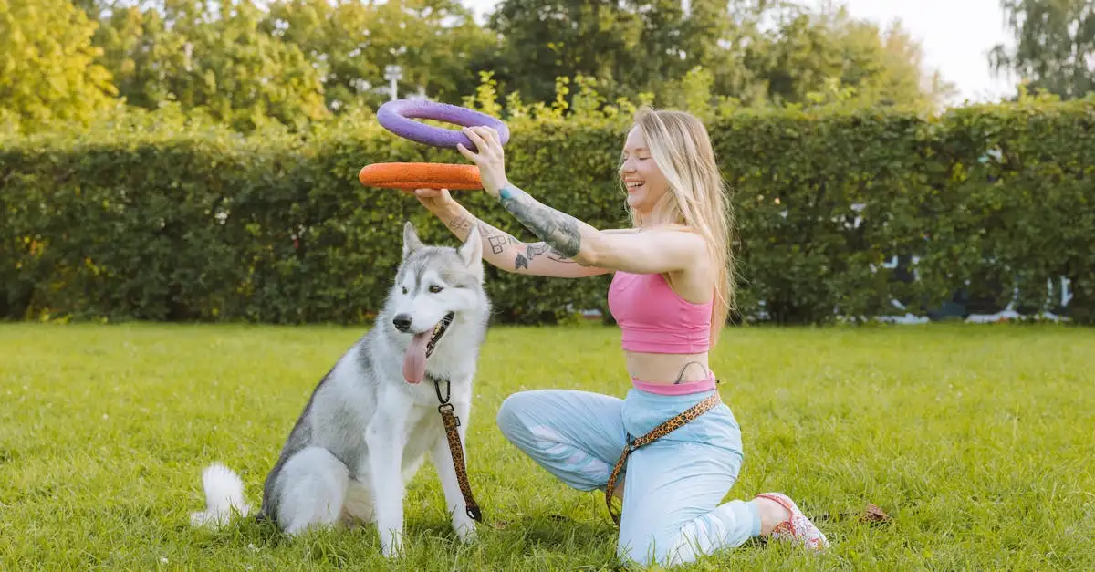 Jaka jest rola psów w nowoczesnej rozrywce?