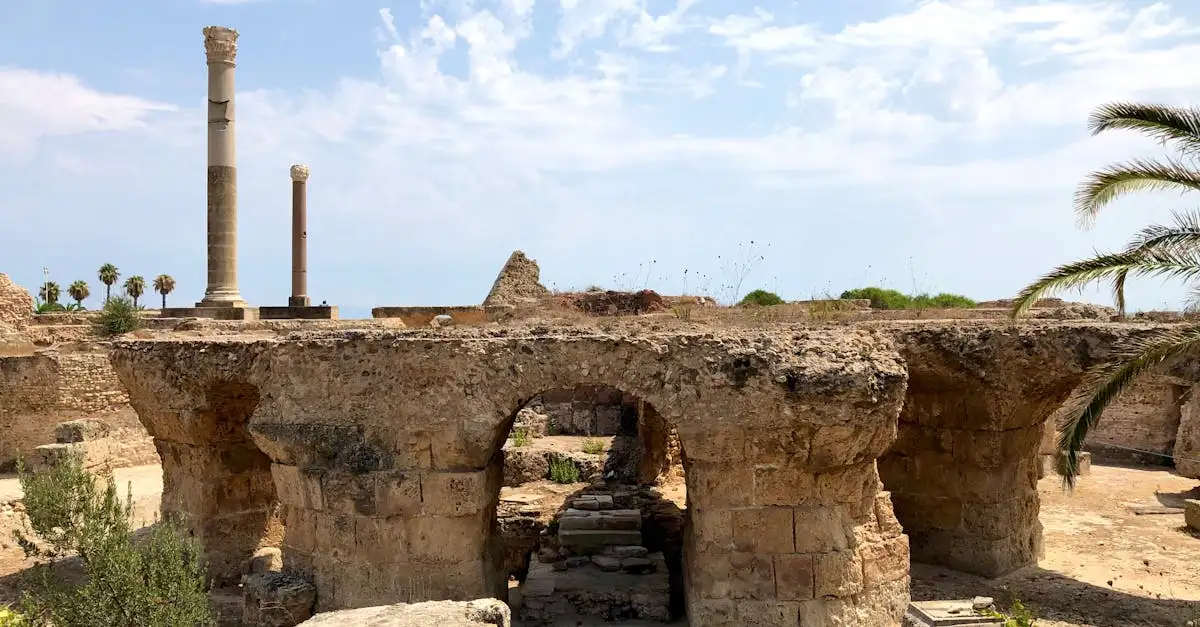 Gdzie znajdują się historyczne ruiny Kartaginy w Tunezji?