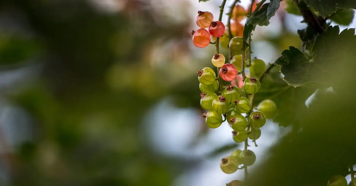 Jakie produkty spożywcze wspierają zdrowe jelita?