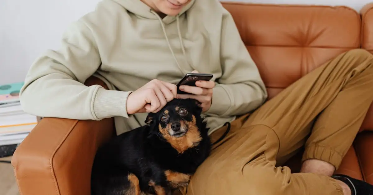 Co czyni psy wyjątkowymi w interakcji z ludźmi?