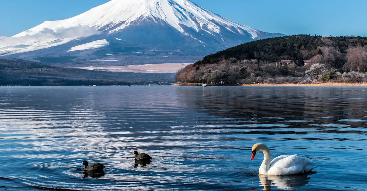 Jak nazywa się słynna góra w Japonii, Mount Fuji?