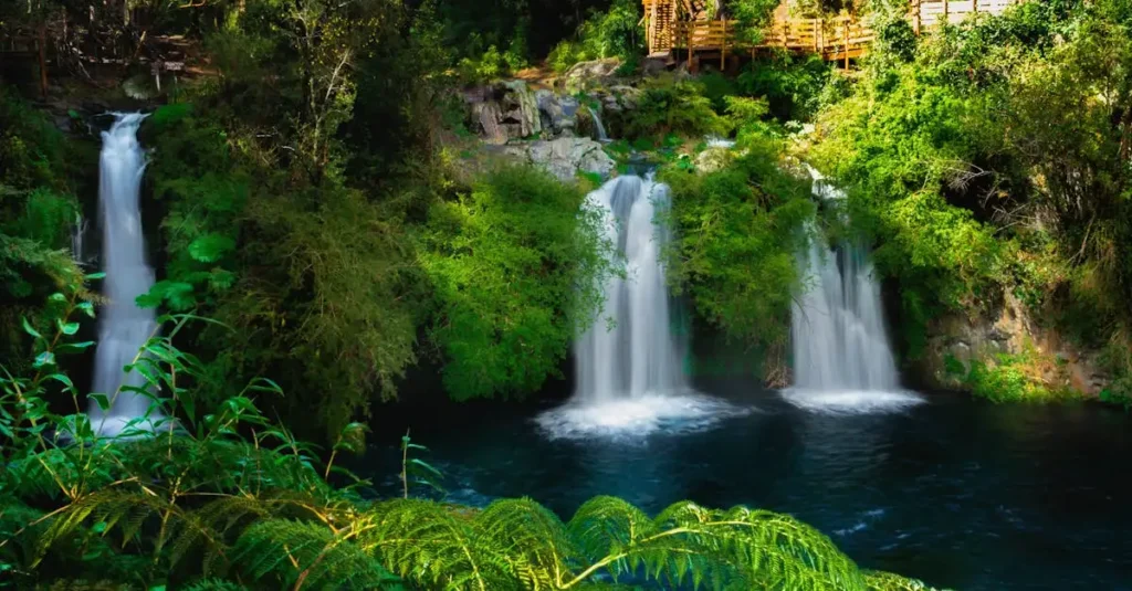 Jaki jest największy park narodowy w Chile – Park Pumalín?