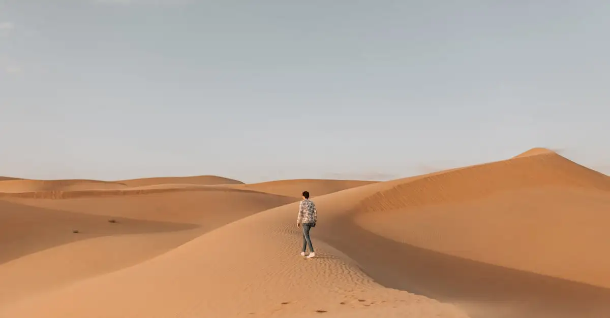 Jakie cechy ma pustynia Rub' al Khali w Arabii Saudyjskiej?