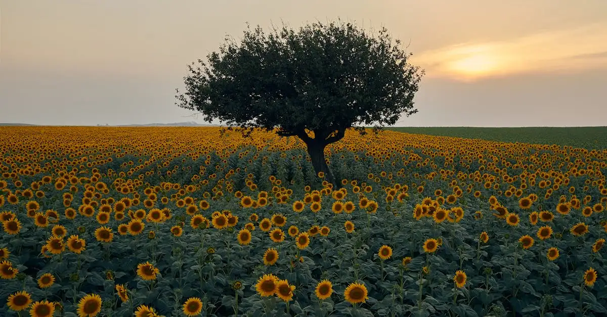 Co mitologia mówi o zmianach pór roku?