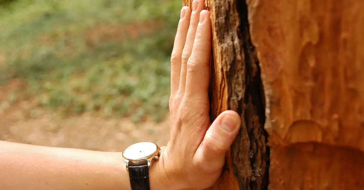 Jak skontaktować się z wojownikiem o zrównoważony rozwój?