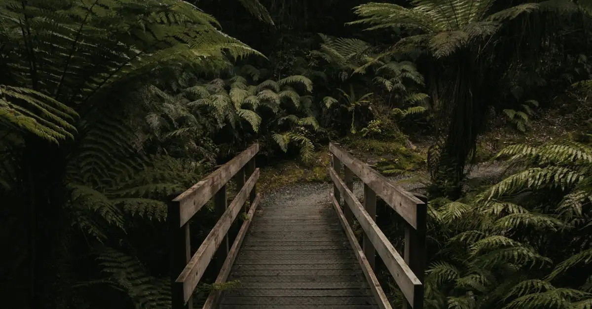 Który region Australii słynie z tropikalnych lasów deszczowych?