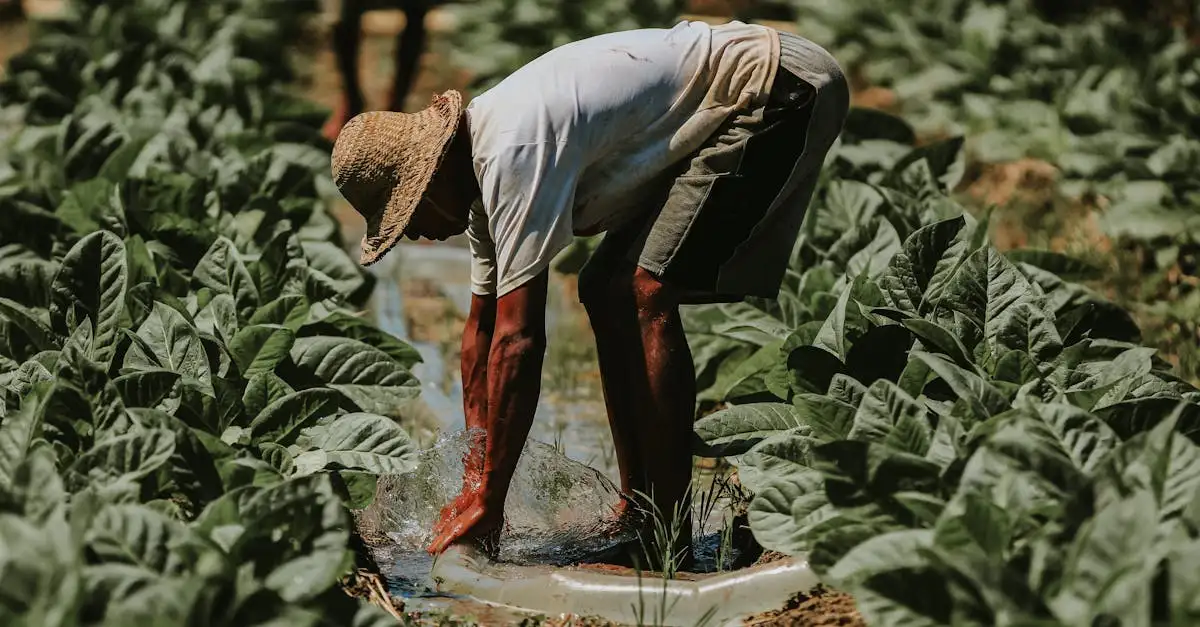 Co oznacza praca na pełen etat? Wyjaśniamy!