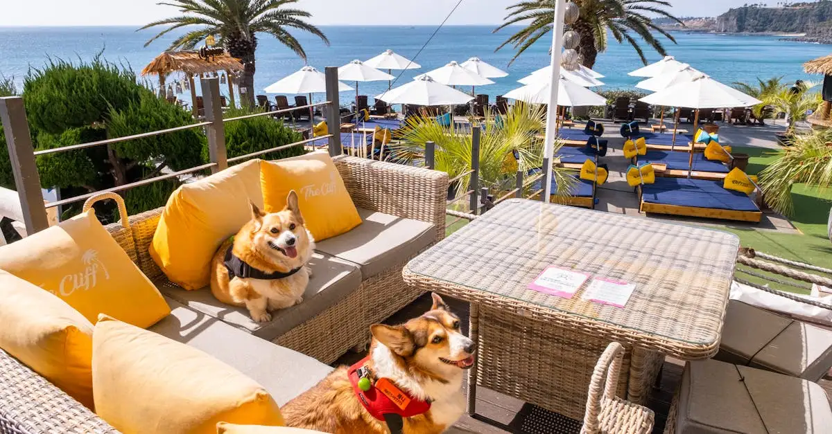 Gdzie znajduje się wyspa Jeju w Korei Południowej?