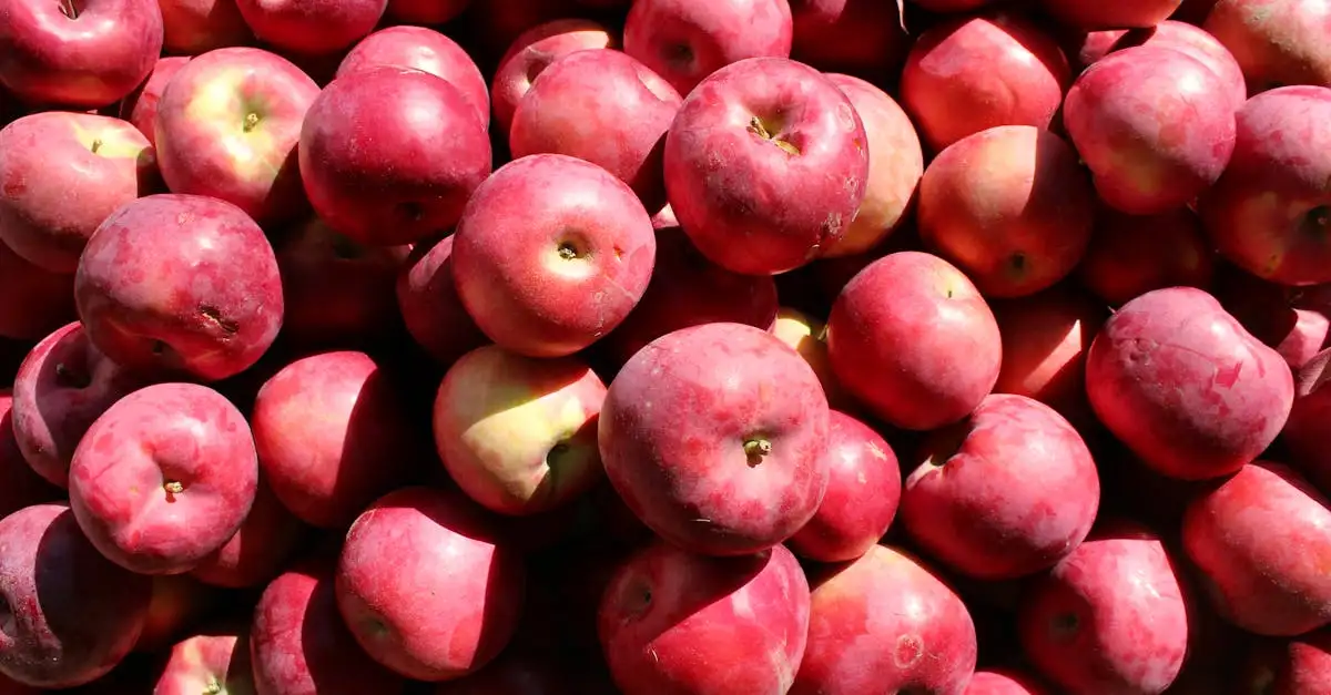 Jakie są trzy najważniejsze specjały kulinarne Vermont?