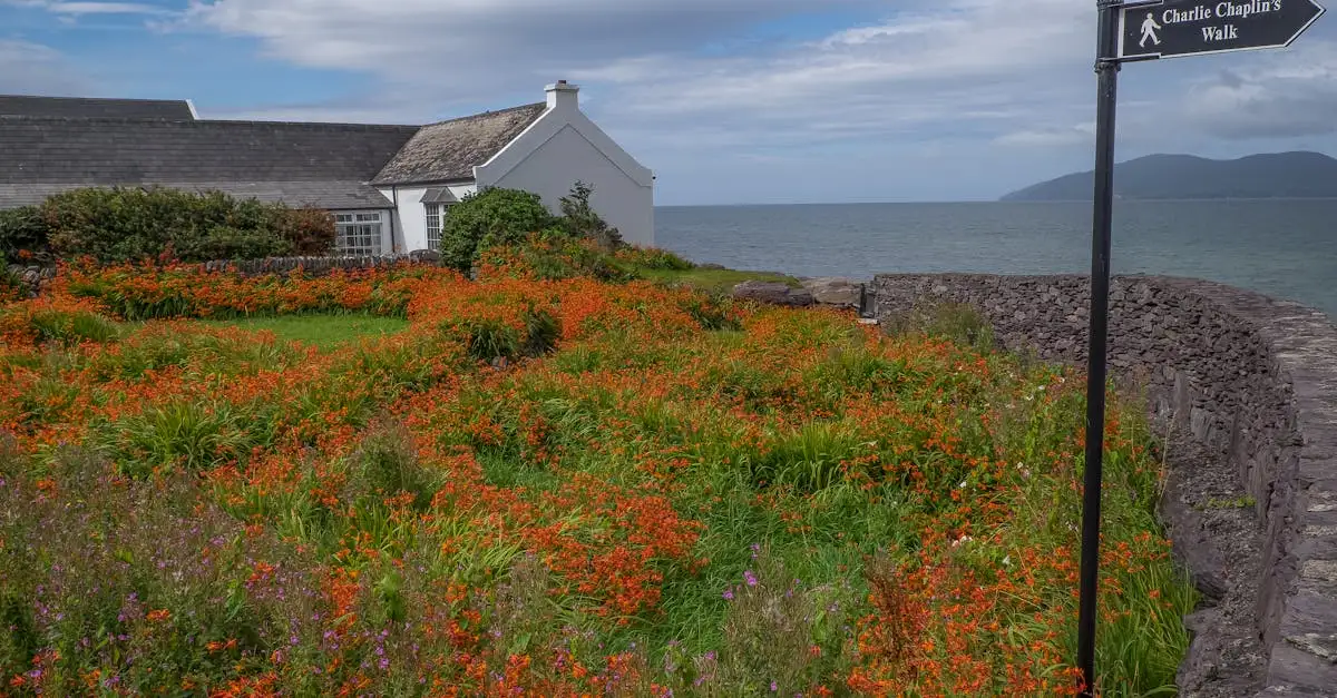 Który region w Irlandii chroni Ring of Kerry?