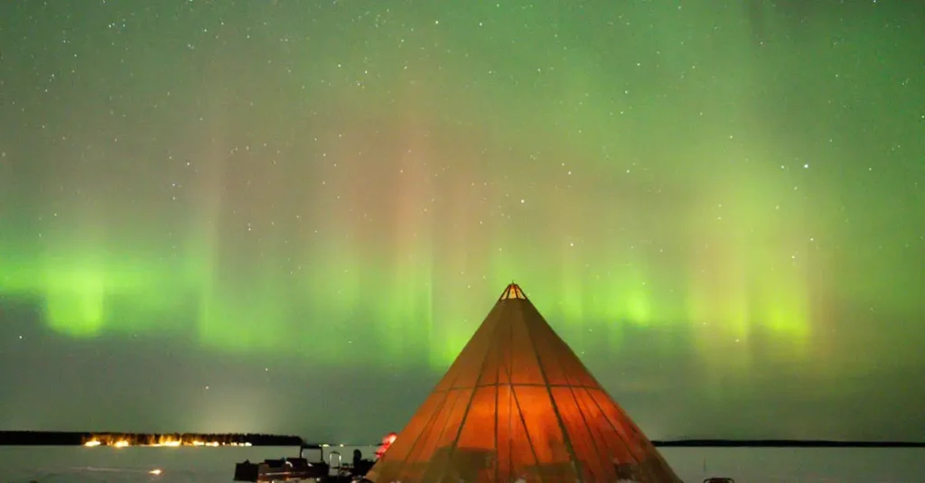 Gdzie w Szwecji odkryć dziką przyrodę Laponii?