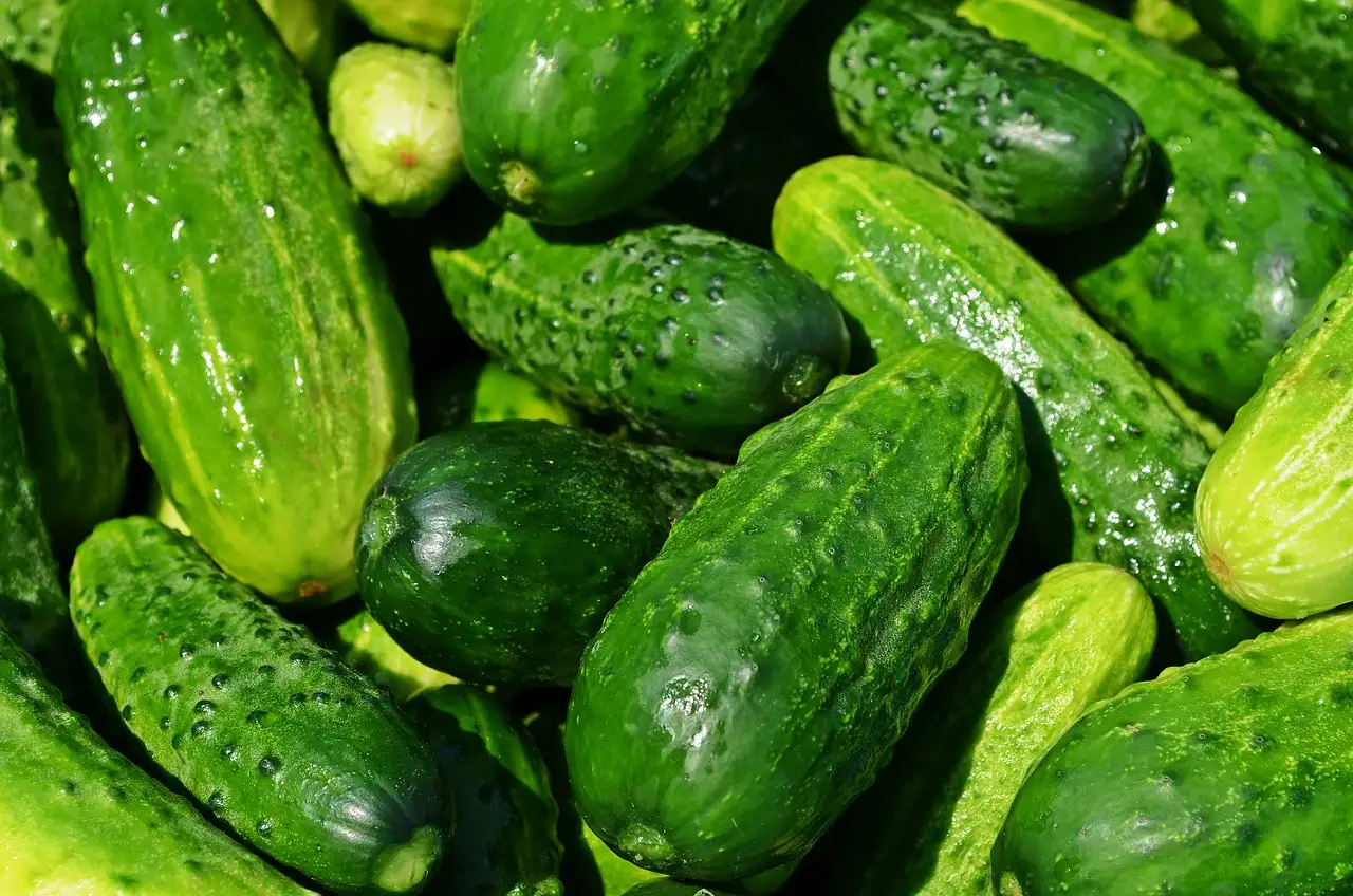 Jakie warzywa najlepiej pasują do rybnych dań?