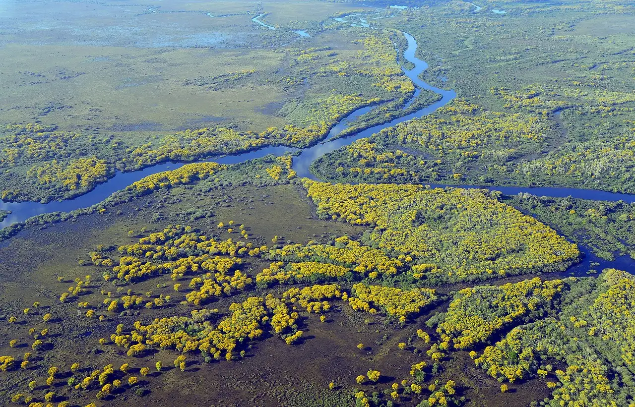 Jakie znaczenie ma Pantanal dla Brazylii?
