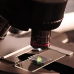 Jak mikroskopia wpłynęła na rozwój nauk medycznych?