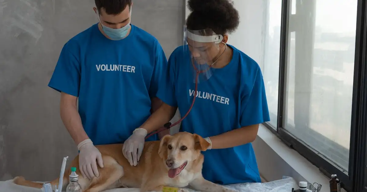 Jaki zwierzak domowy będzie idealnym towarzyszem dla Ciebie?