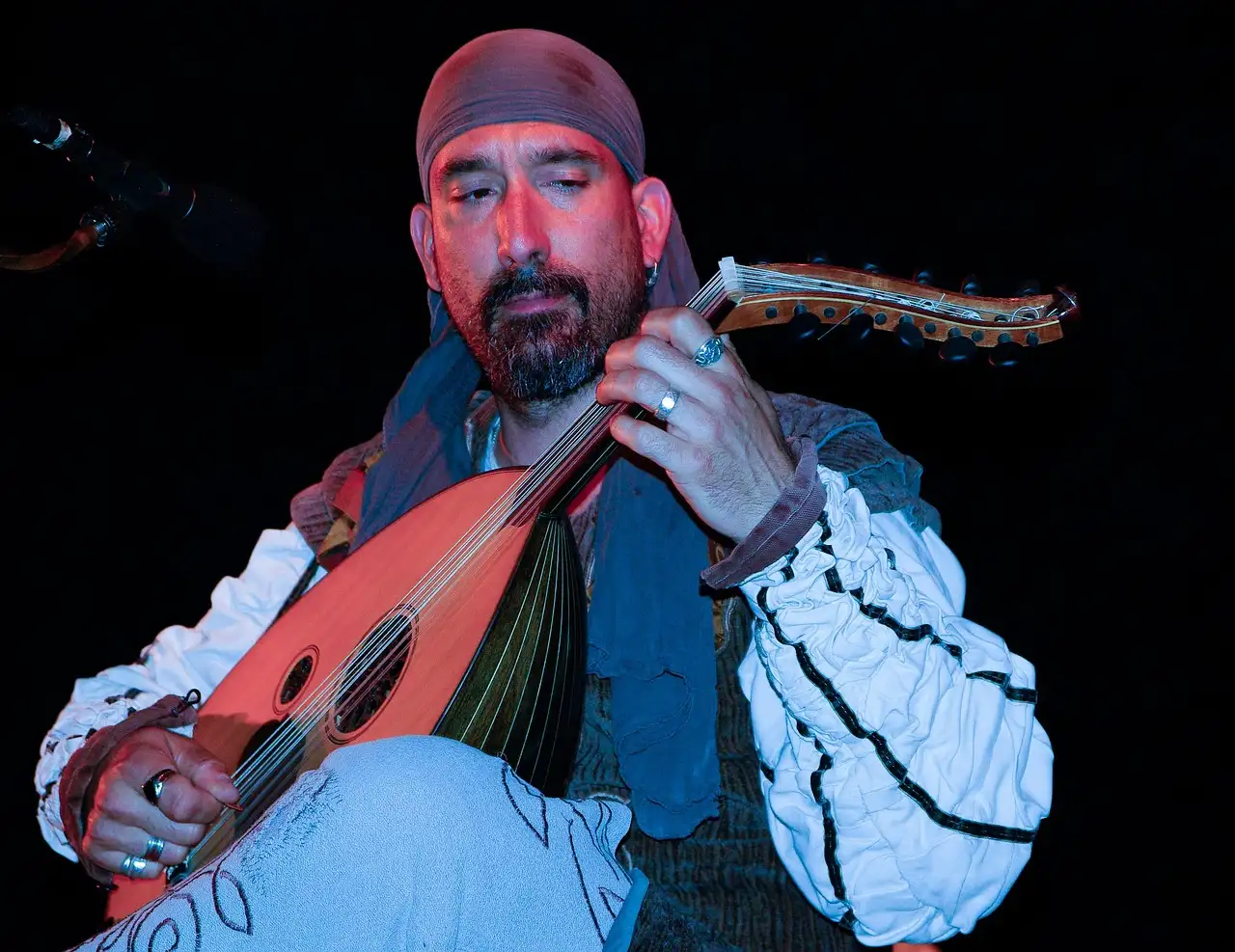 Jakie są rodzaje troubadourów i bradów?