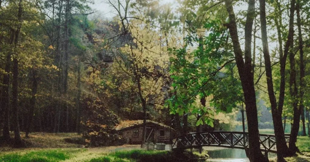 Malowanie na zewnątrz: Jaką temperaturę wybrać?