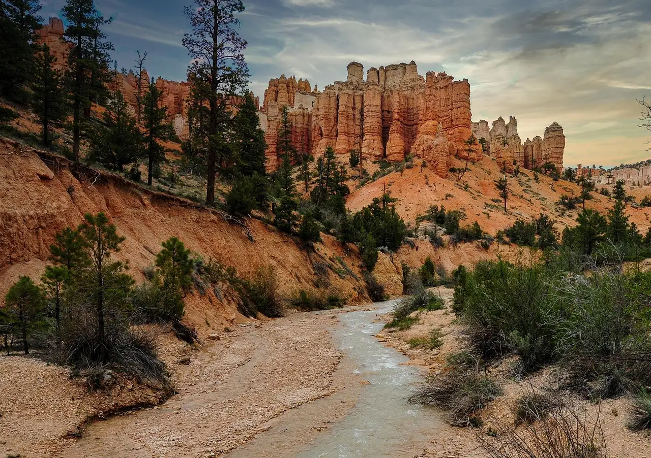 Gdzie w USA zobaczyć spektakularne sekwoje?