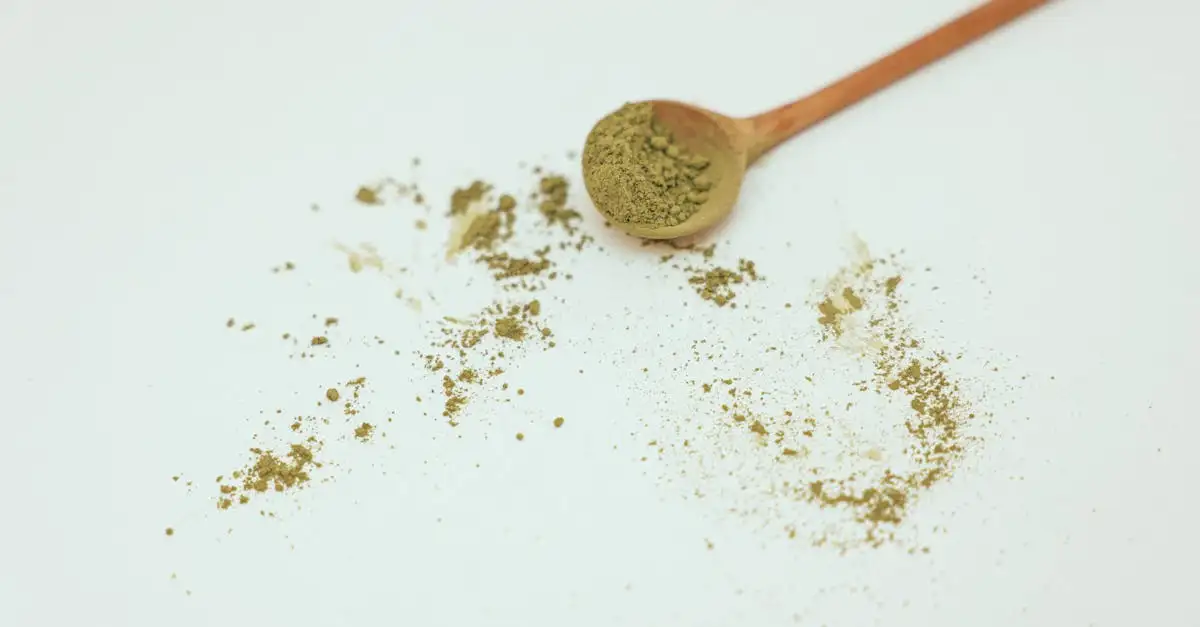 Gdzie znaleźć zdrową herbatę z gwiazdnicy?