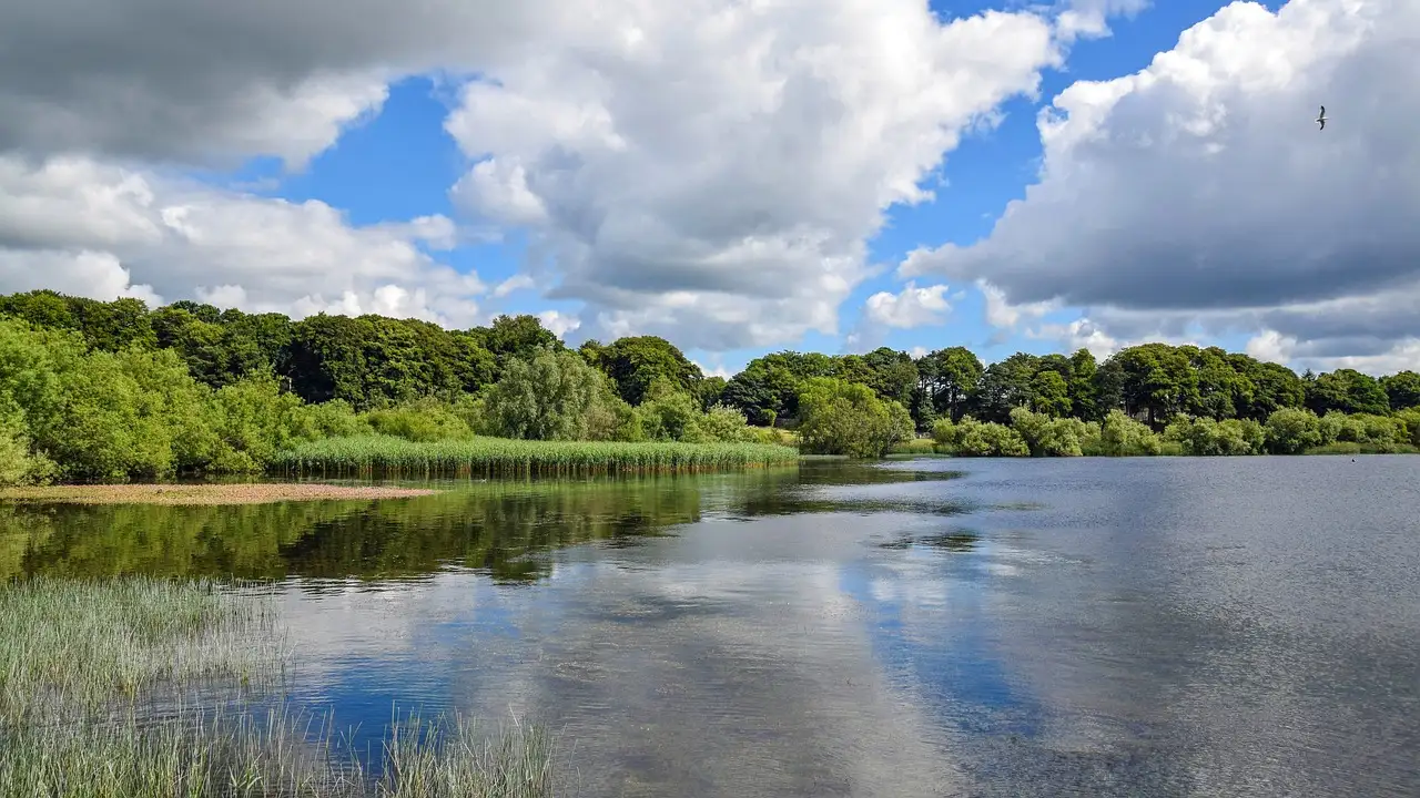 Jak greccy bogowie wpływali na codzienne życie ludzi?