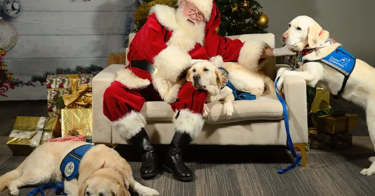 Jakie rasy psów są najlepsze jako psy pomocnicze?