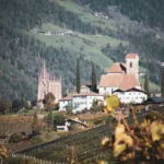 Jakie wino pasuje do zająca duszonego? Sprawdź!