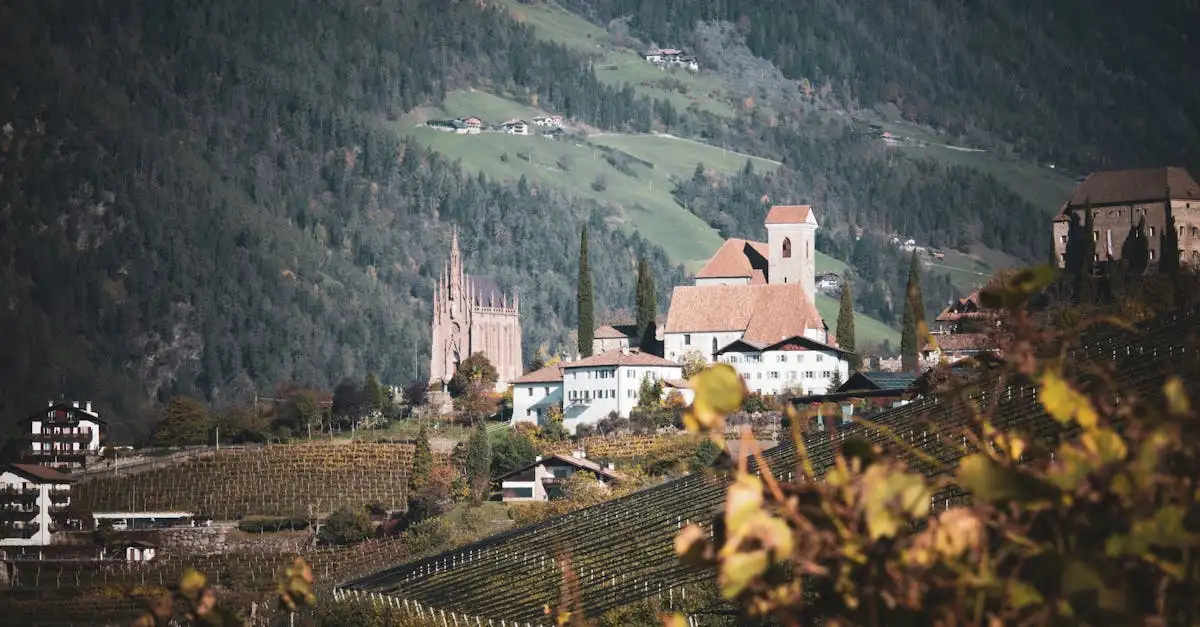 Jakie wino pasuje do zająca duszonego? Sprawdź!