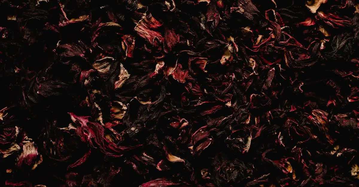 Na co dobry jest hibiskus? Odkryj jego korzyści!